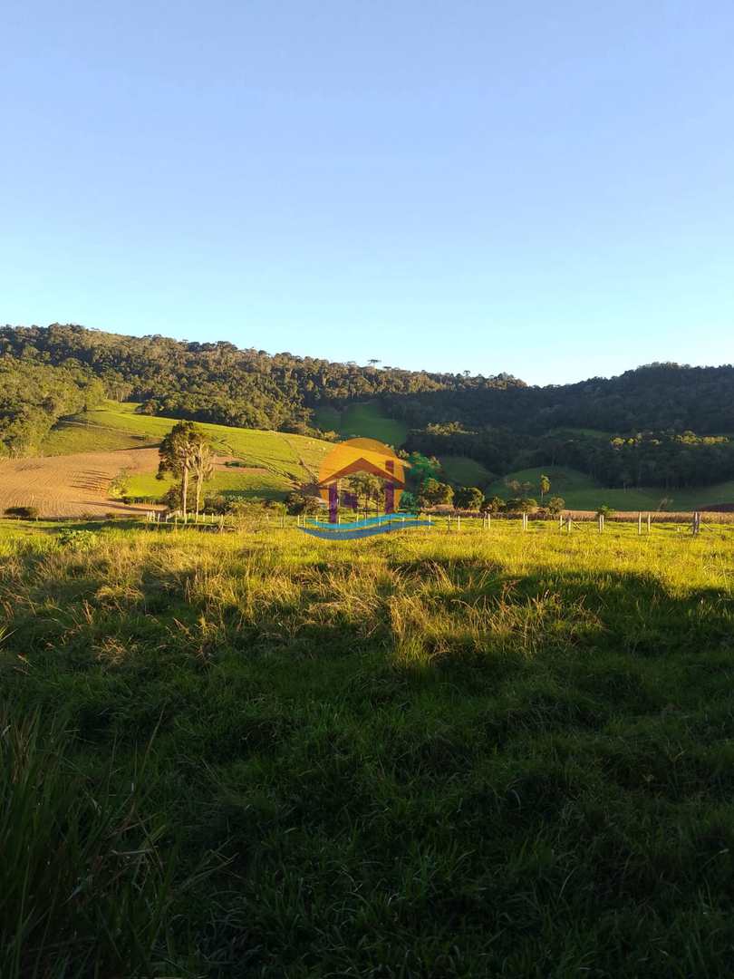 Fazenda à venda com 3 quartos, 120000m² - Foto 8