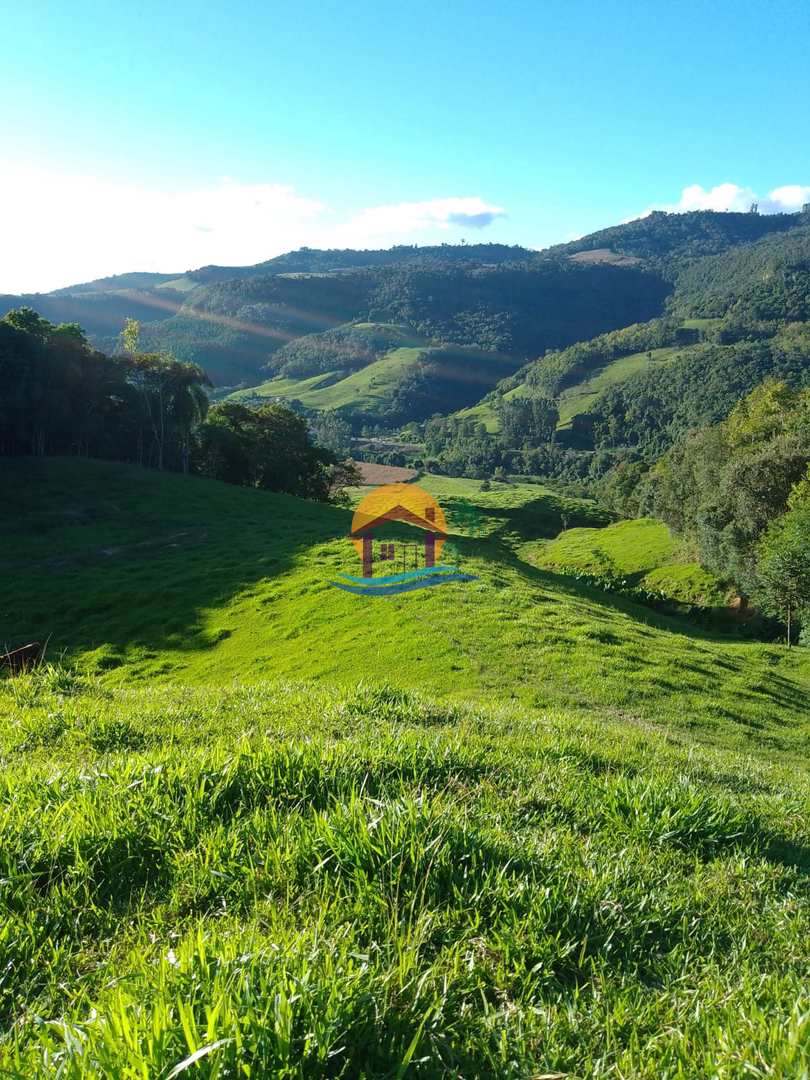 Fazenda à venda com 3 quartos, 120000m² - Foto 55