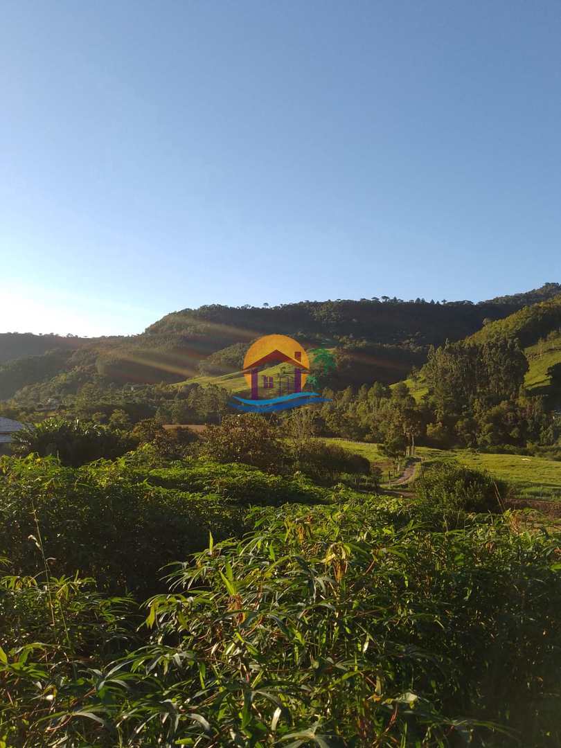 Fazenda à venda com 3 quartos, 120000m² - Foto 23