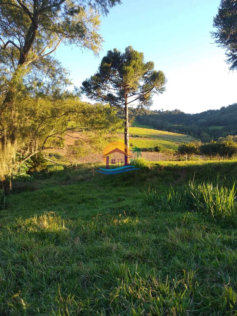 Fazenda à venda com 3 quartos, 120000m² - Foto 4