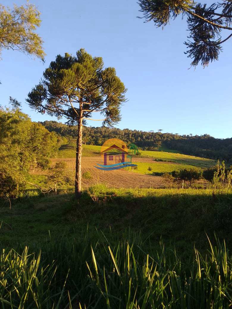 Fazenda à venda com 3 quartos, 120000m² - Foto 2