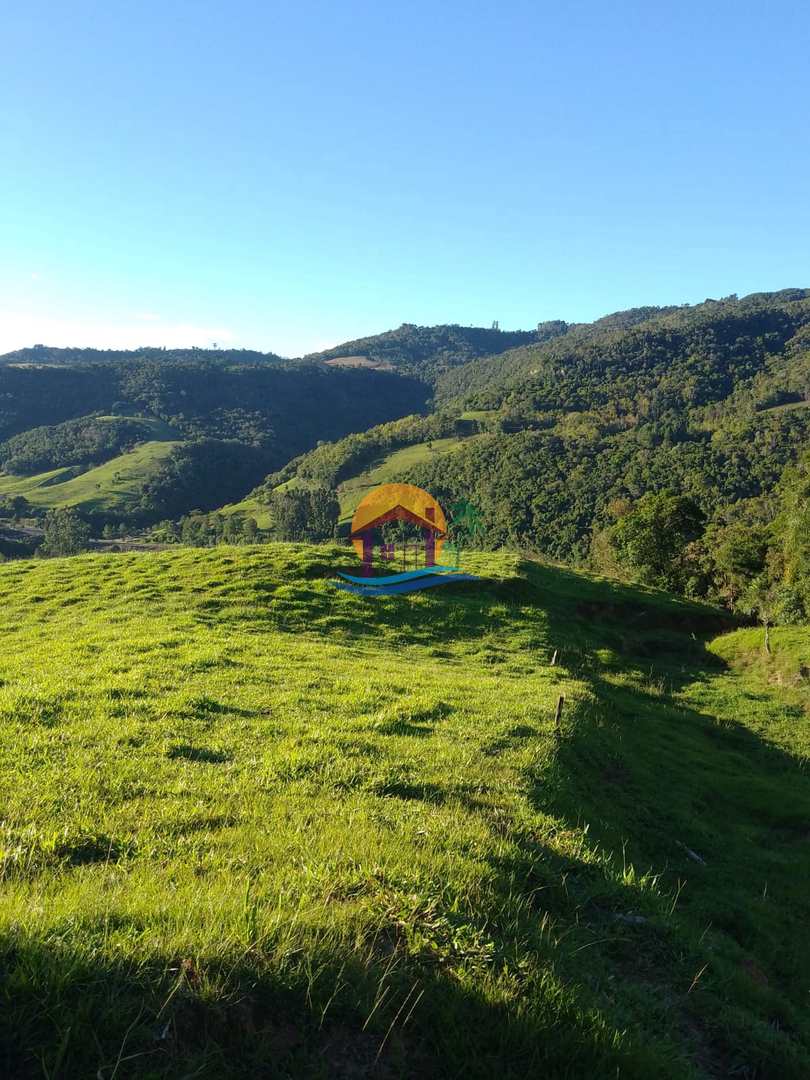 Fazenda à venda com 3 quartos, 120000m² - Foto 33