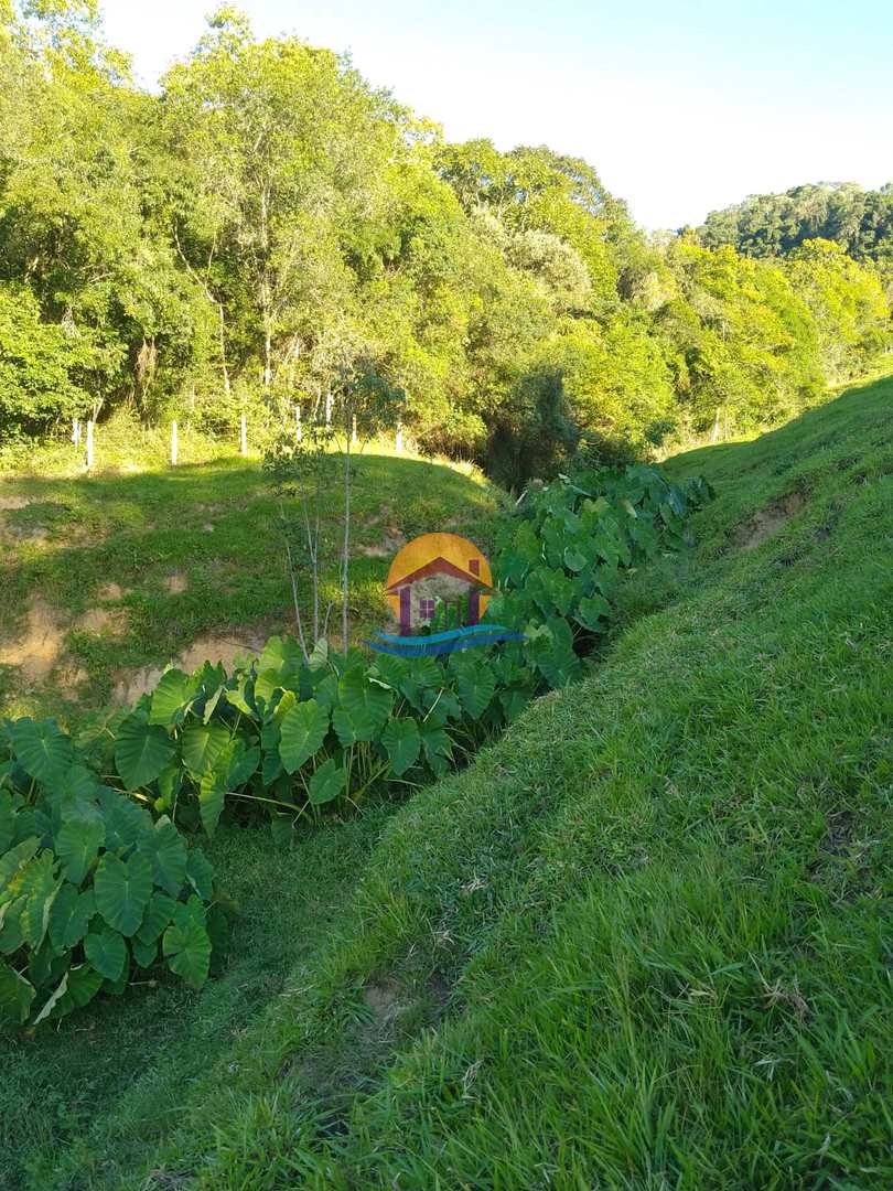 Fazenda à venda com 3 quartos, 120000m² - Foto 36