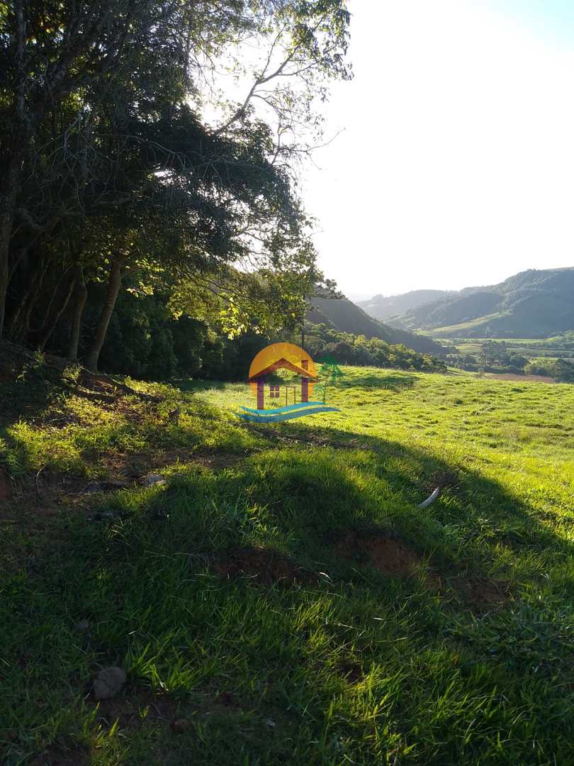 Fazenda à venda com 3 quartos, 120000m² - Foto 32