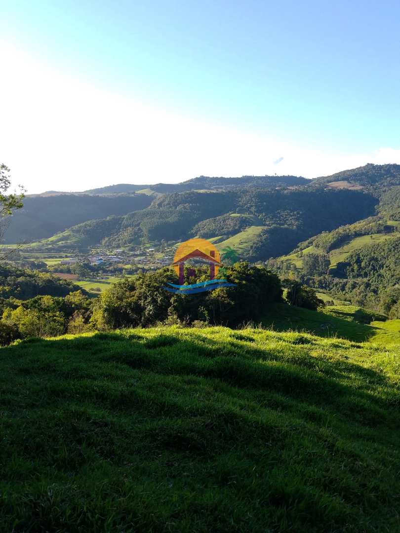 Fazenda à venda com 3 quartos, 120000m² - Foto 46