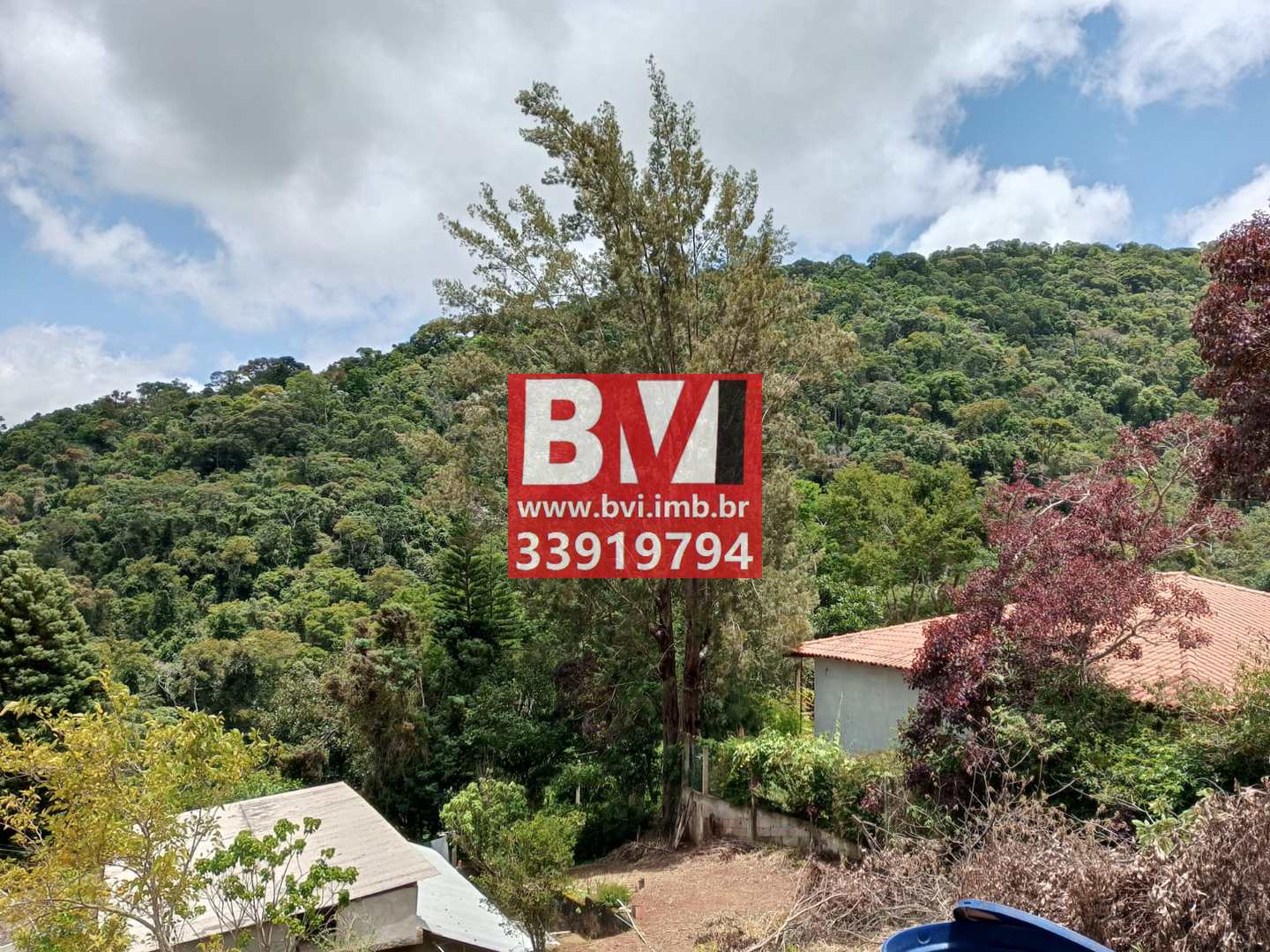 Fazenda à venda com 2 quartos, 59m² - Foto 13