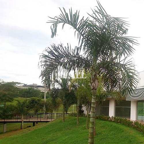 Terreno à venda, 400m² - Foto 5