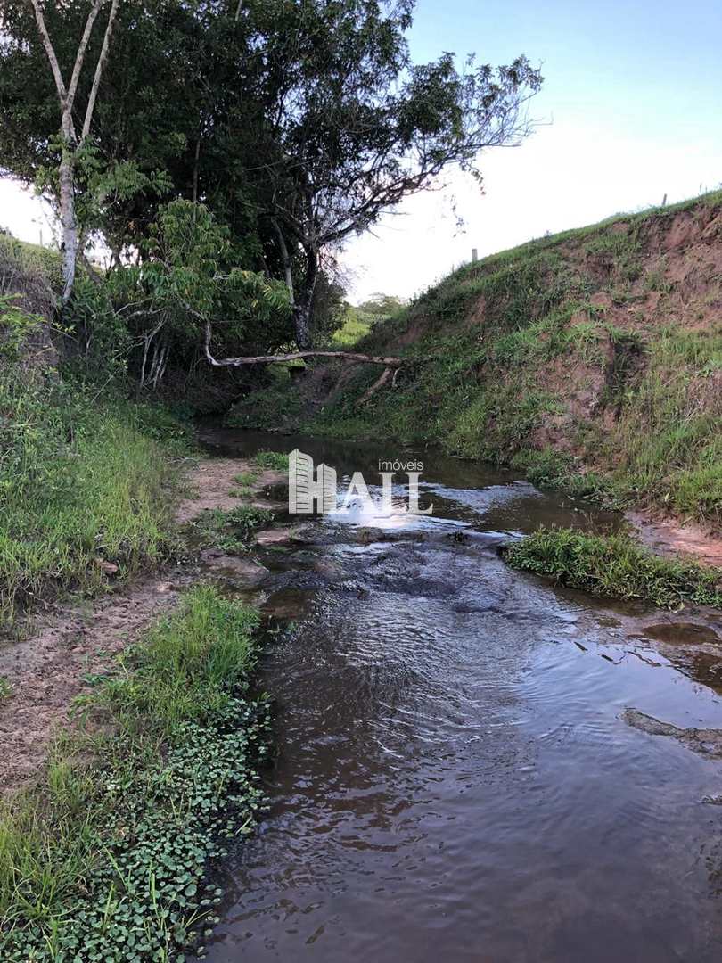 Fazenda à venda com 2 quartos, 17000m² - Foto 6