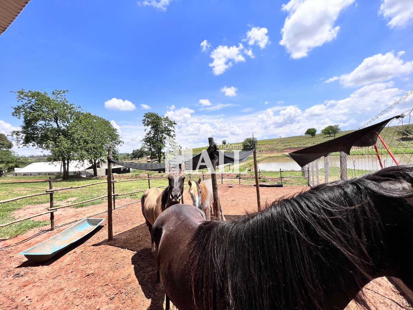 Fazenda à venda, 700000m² - Foto 57