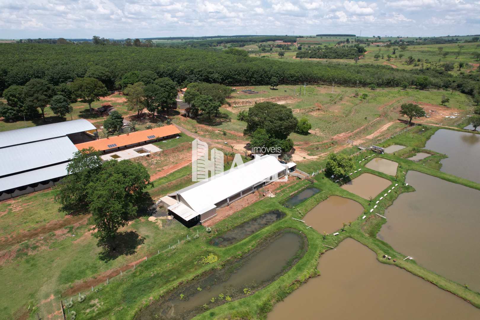 Fazenda à venda, 700000m² - Foto 7