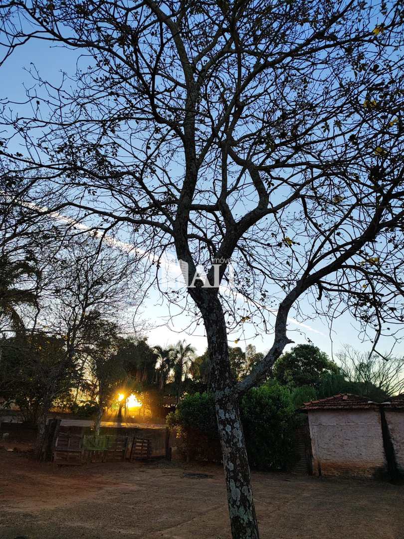 Fazenda à venda com 4 quartos, 20000m² - Foto 16