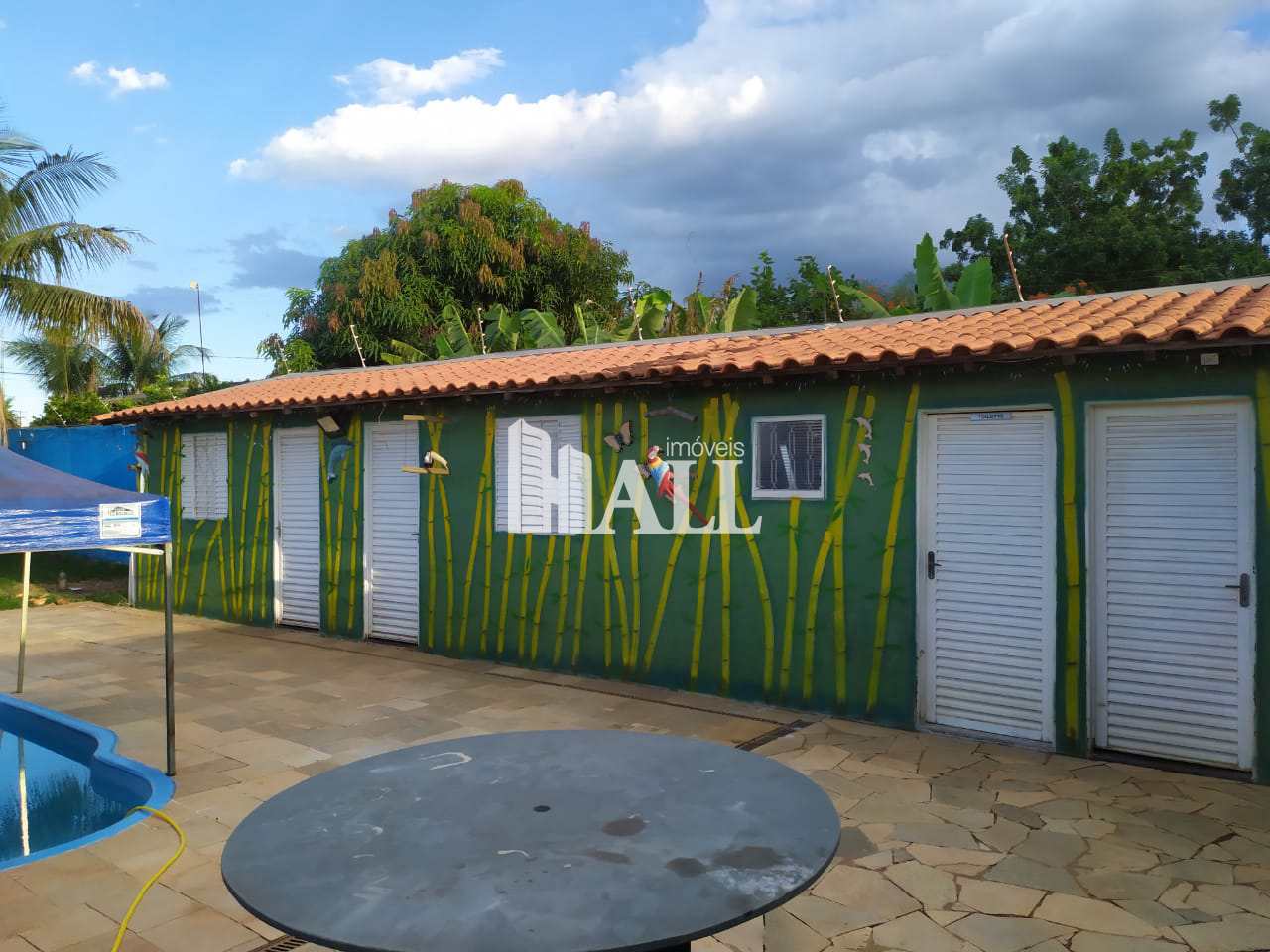 Fazenda à venda com 4 quartos, 200m² - Foto 7