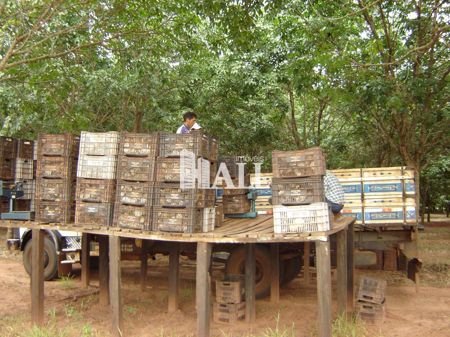 Fazenda à venda com 2 quartos, 726000m² - Foto 15