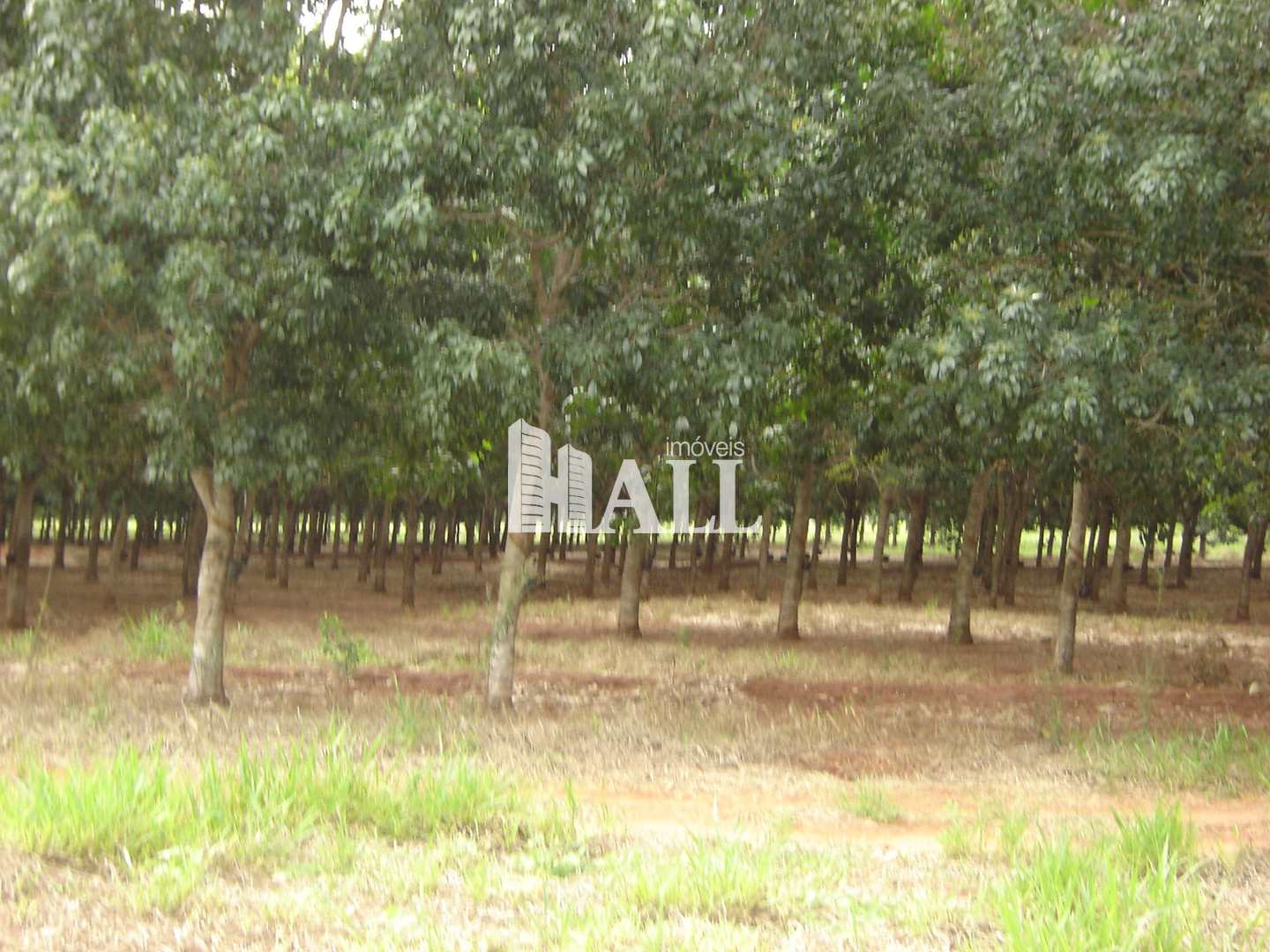 Fazenda à venda com 2 quartos, 726000m² - Foto 8