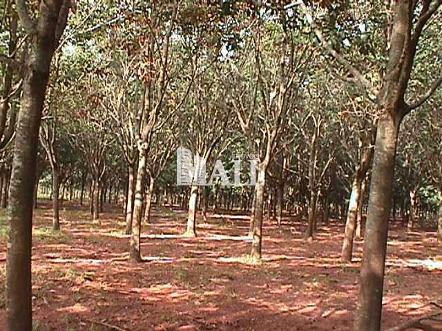 Fazenda à venda com 2 quartos, 726000m² - Foto 11