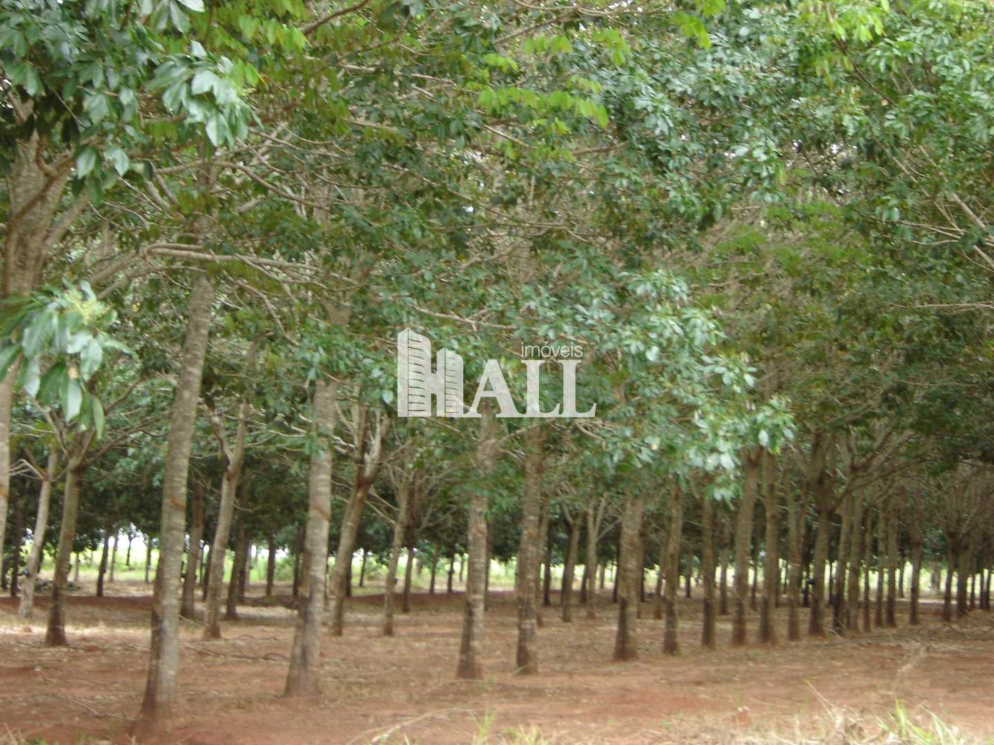 Fazenda à venda com 2 quartos, 726000m² - Foto 6