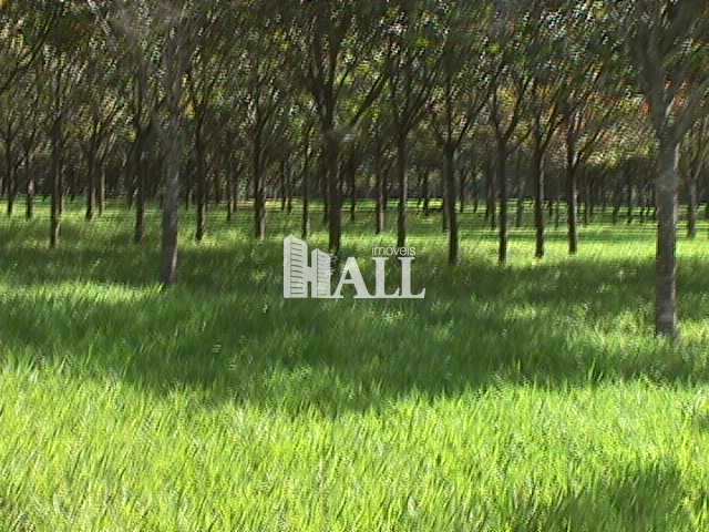 Fazenda à venda com 2 quartos, 726000m² - Foto 9