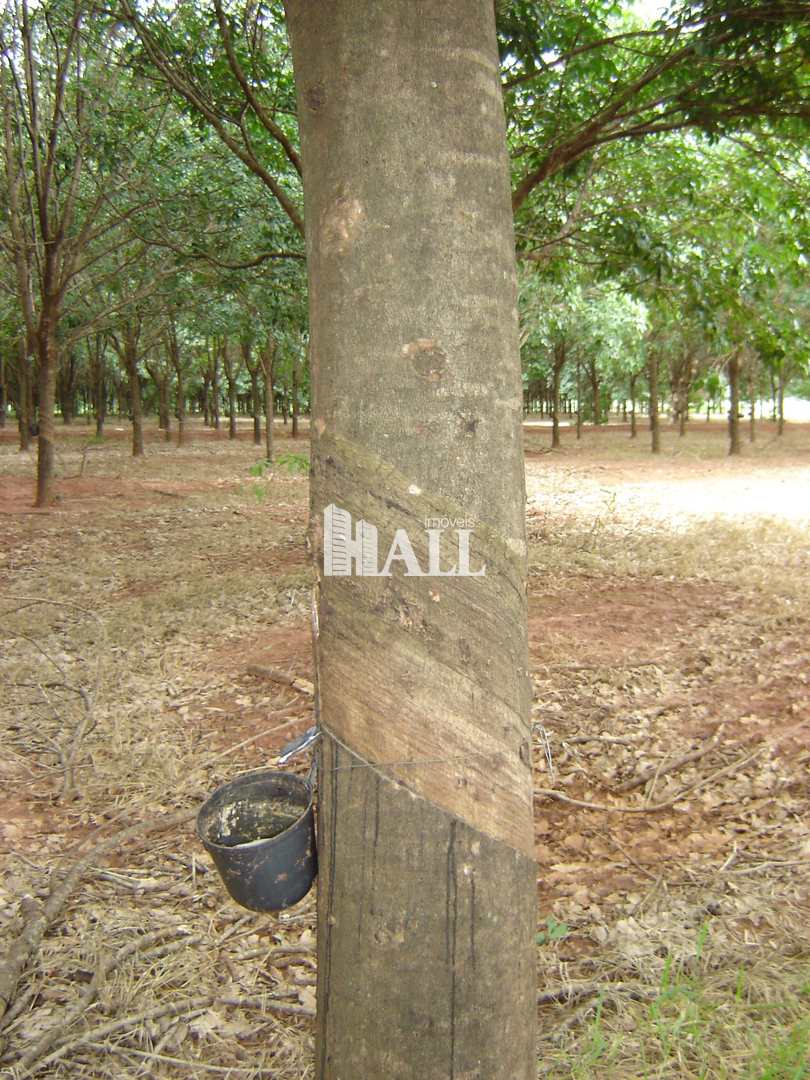 Fazenda à venda com 2 quartos, 726000m² - Foto 14