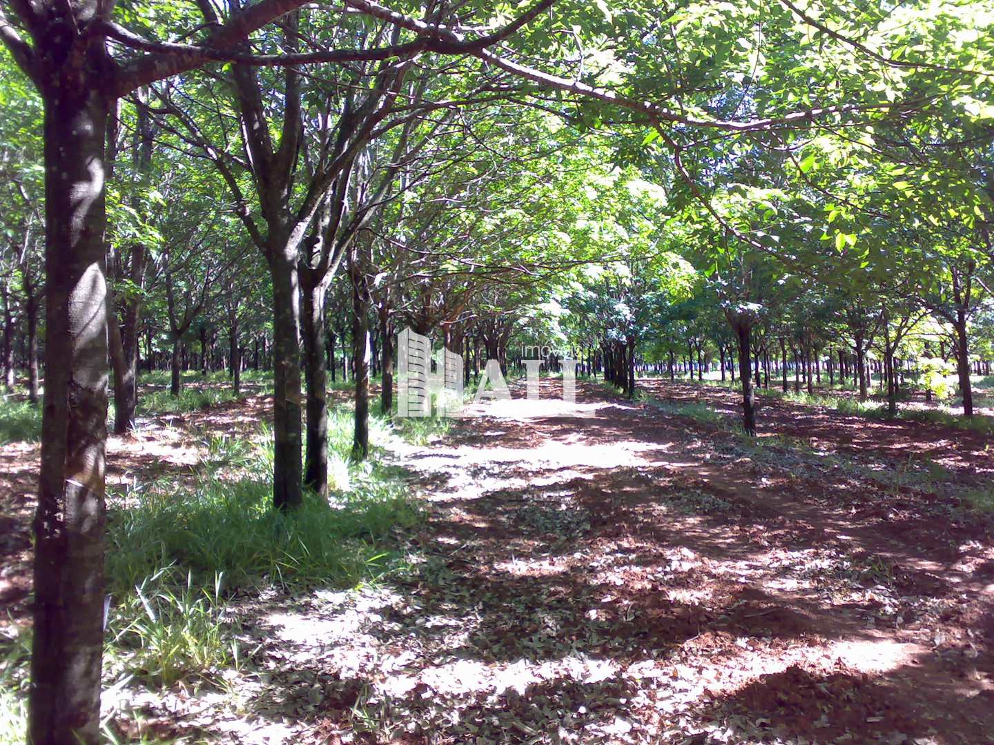 Fazenda à venda com 2 quartos, 726000m² - Foto 7