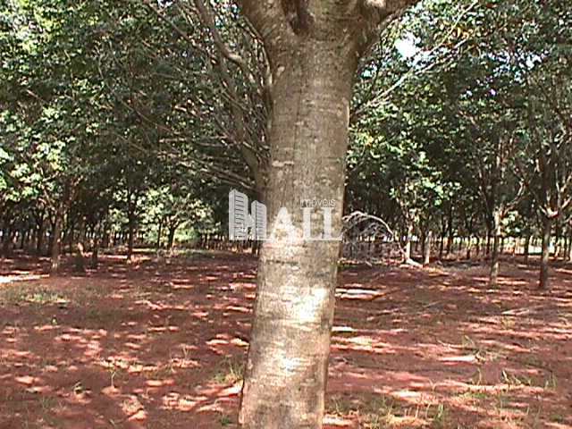 Fazenda à venda com 2 quartos, 726000m² - Foto 12