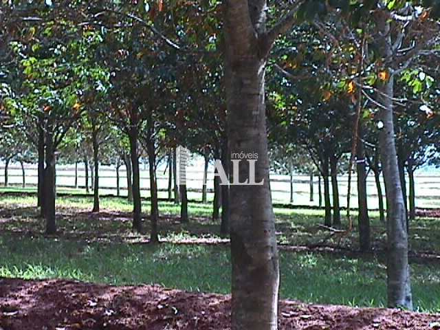 Fazenda à venda com 2 quartos, 726000m² - Foto 13
