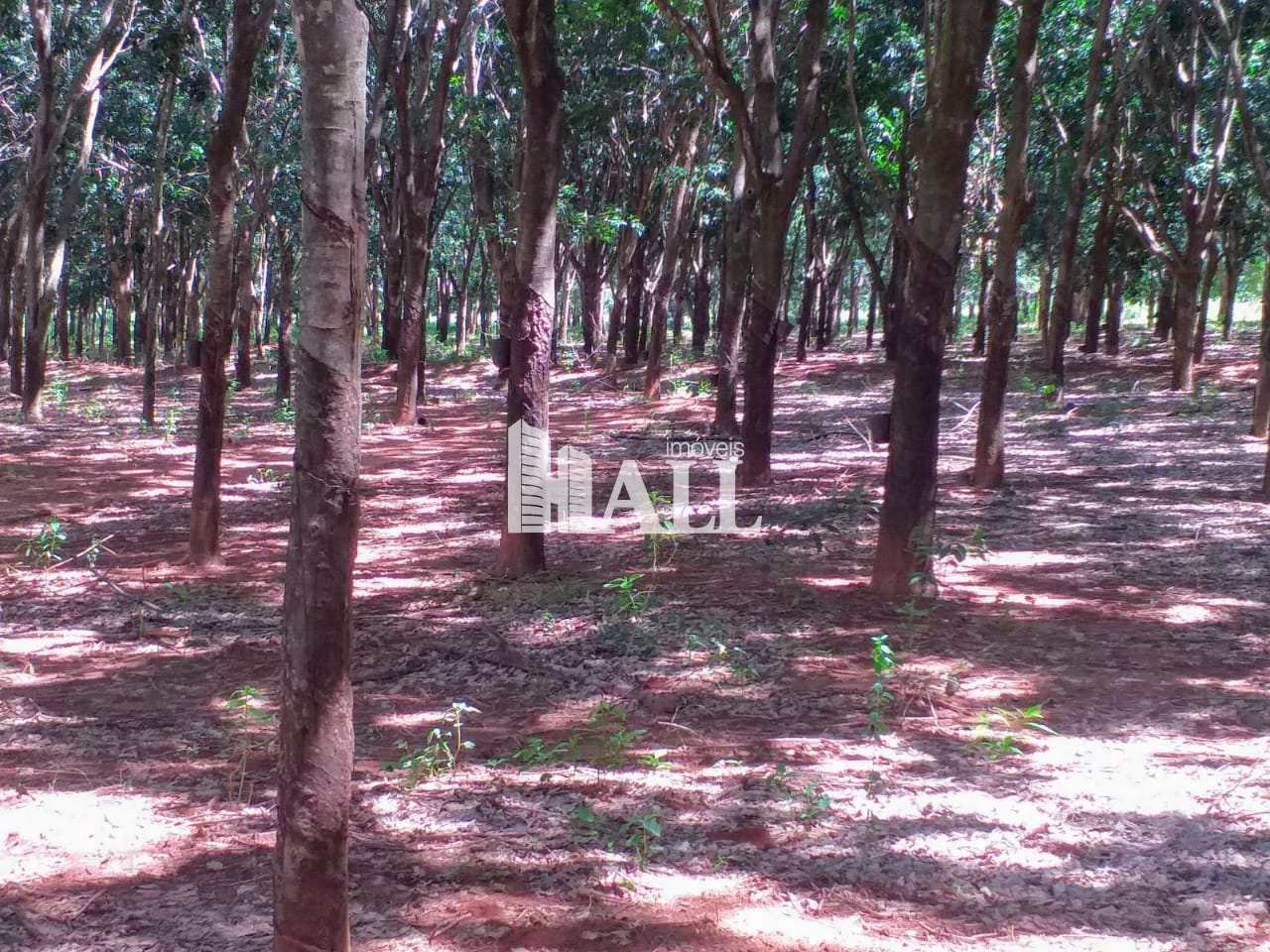 Fazenda à venda com 2 quartos, 726000m² - Foto 3