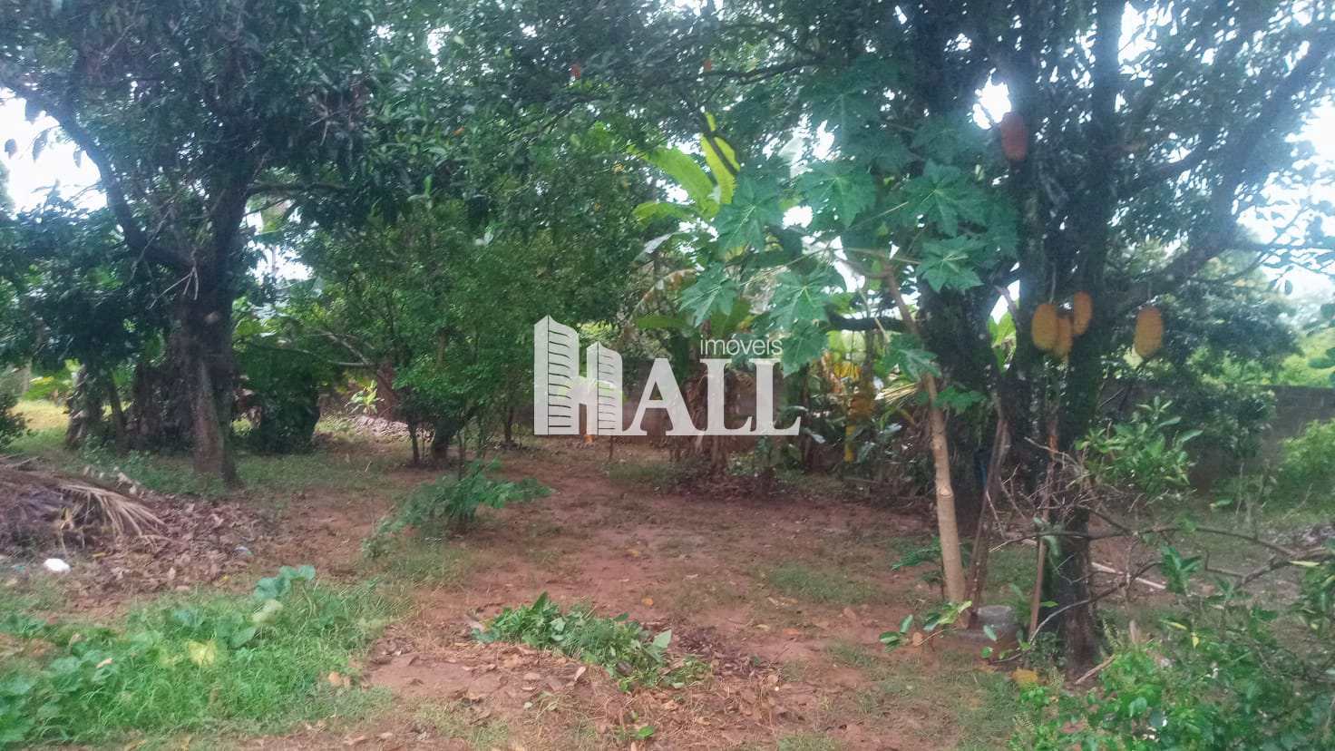 Chácara à venda com 3 quartos, 2000m² - Foto 20