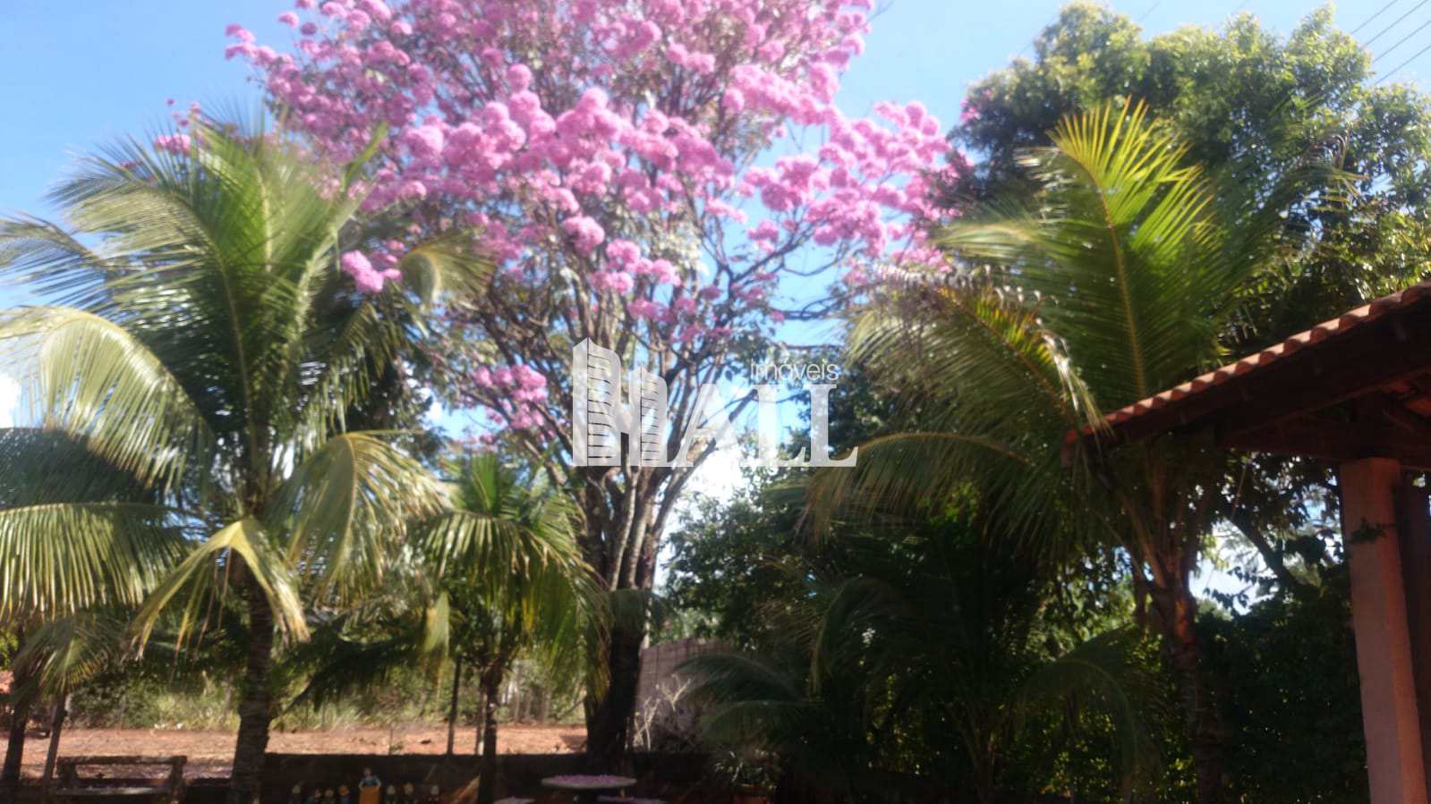 Chácara à venda com 3 quartos, 2000m² - Foto 18