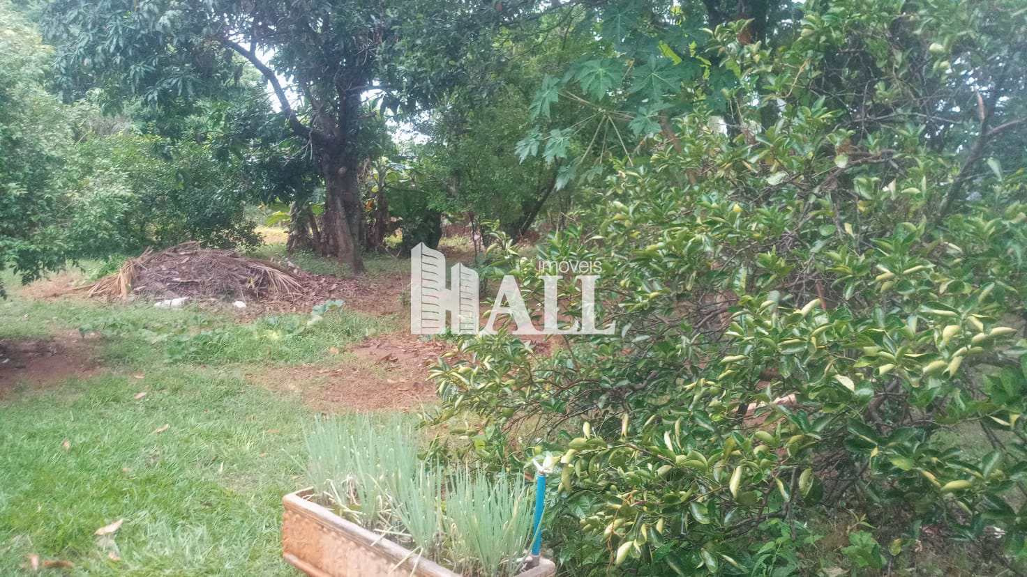 Chácara à venda com 3 quartos, 2000m² - Foto 19