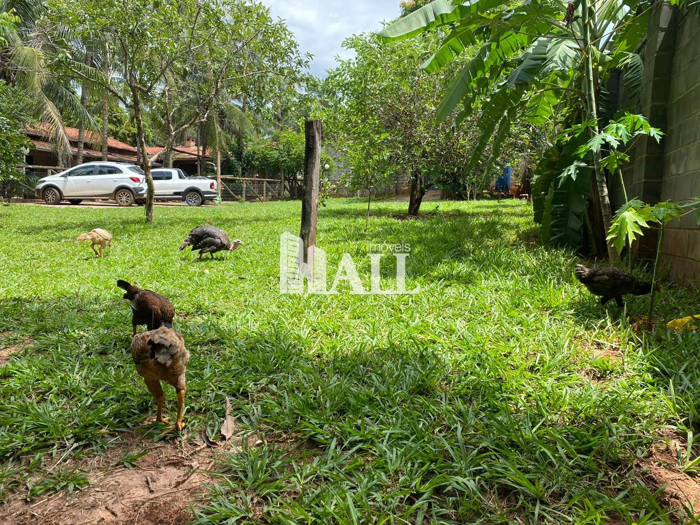 Chácara à venda com 4 quartos, 193m² - Foto 12