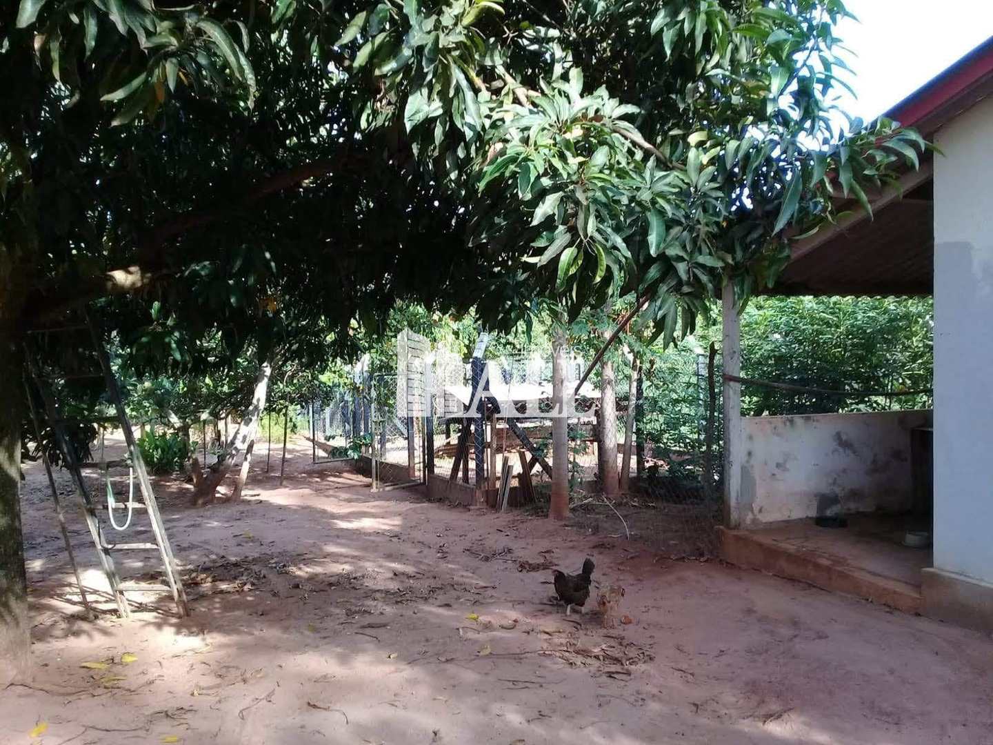 Chácara, 1 hectares - Foto 14