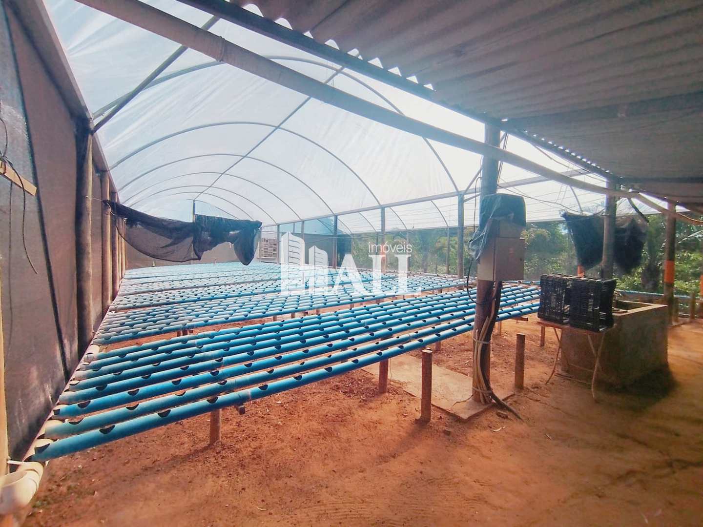 Fazenda / Sítio / Chácara com 4 quartos à venda, 500m² — foto 29 de 39