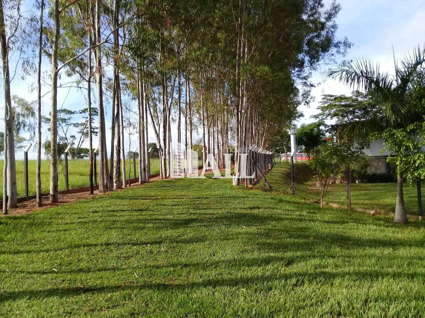 Chácara, 1 hectares - Foto 11