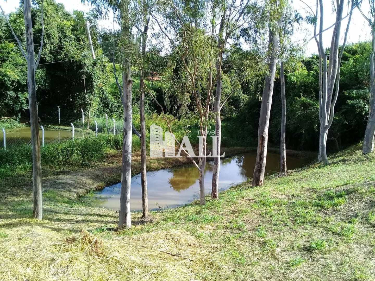 Chácara, 1 hectares - Foto 16