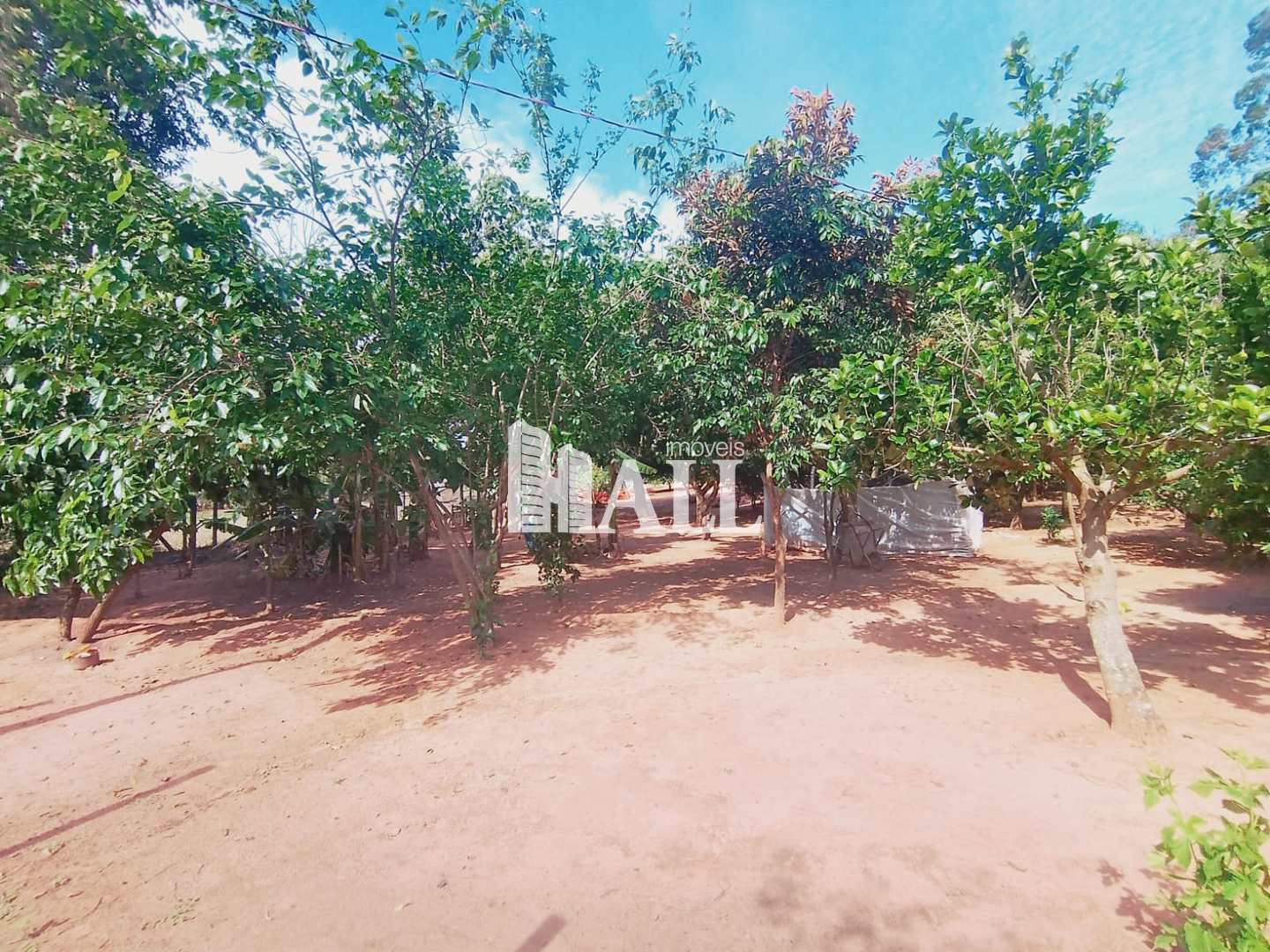 Fazenda / Sítio / Chácara com 4 quartos à venda, 500m² — foto 8 de 39