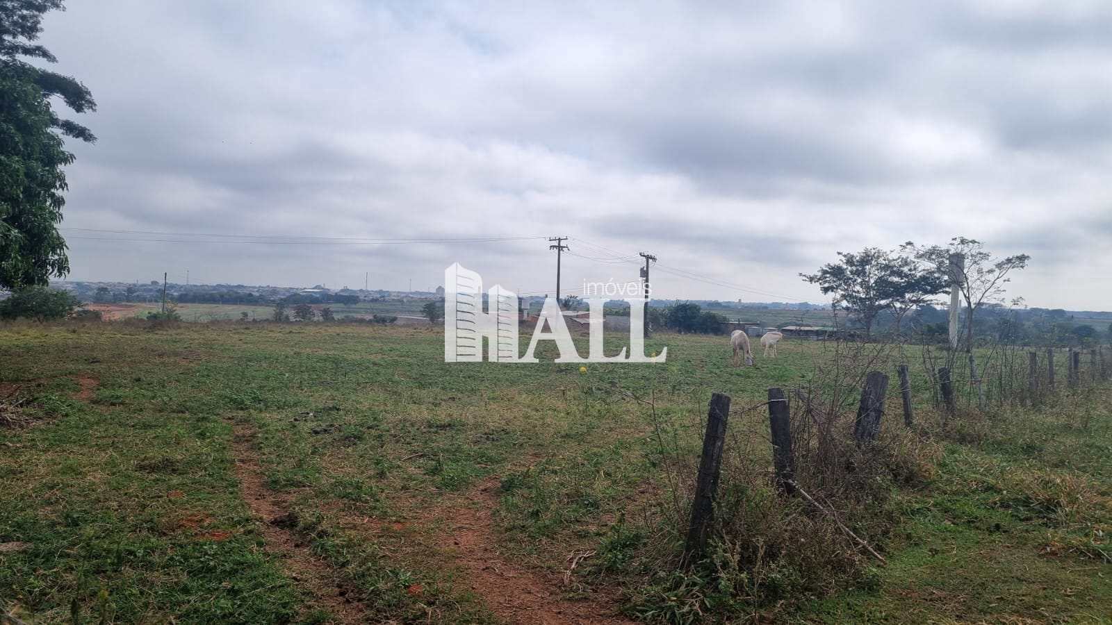 Chácara à venda com 1 quarto, 200m² - Foto 21