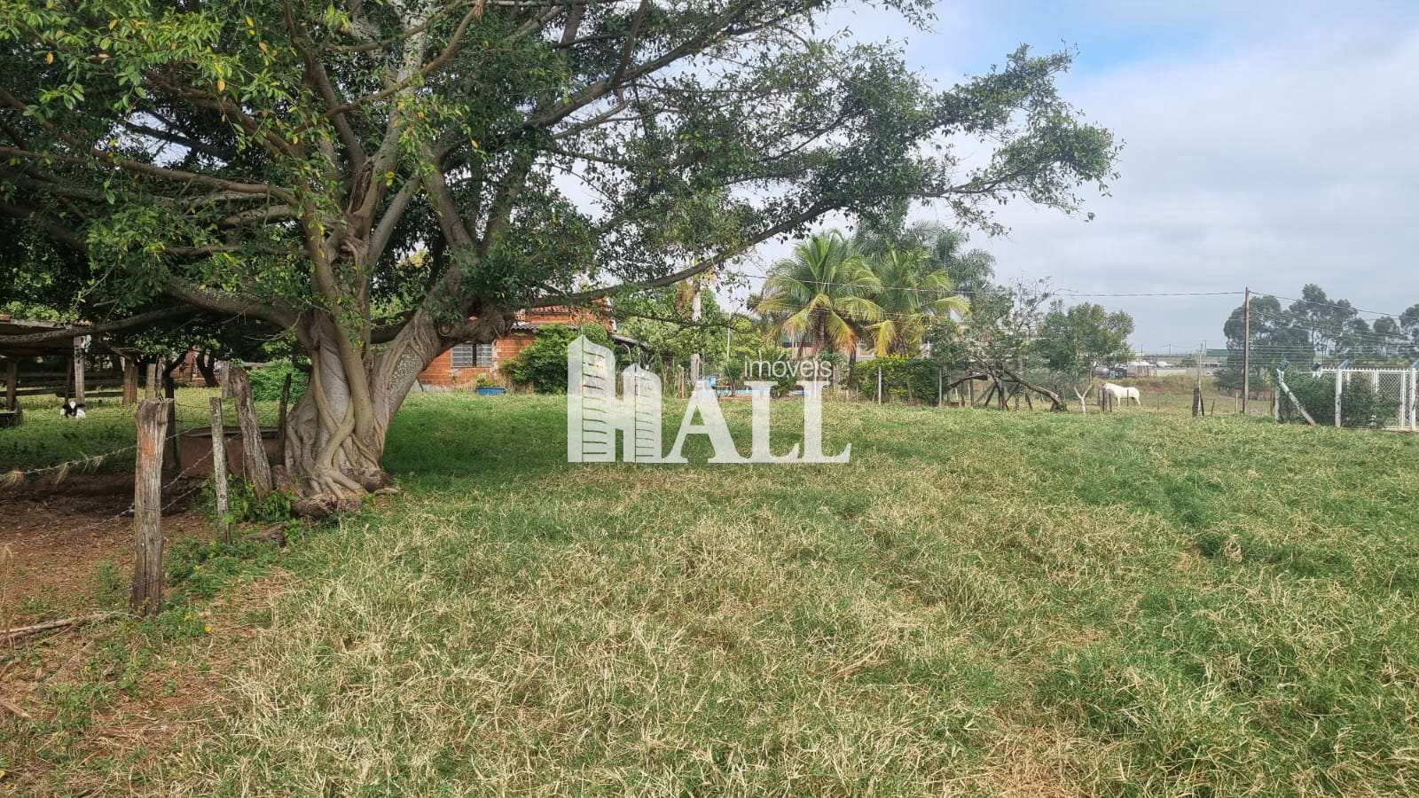 Chácara à venda com 1 quarto, 200m² - Foto 19