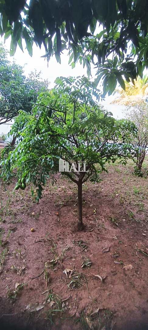 Chácara à venda com 2 quartos, 200m² - Foto 14