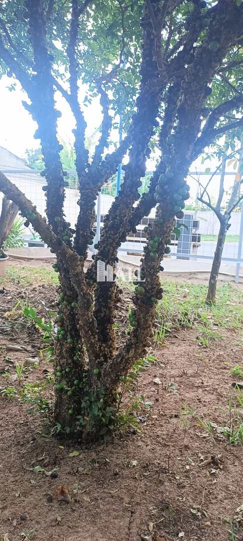 Chácara à venda com 2 quartos, 200m² - Foto 15