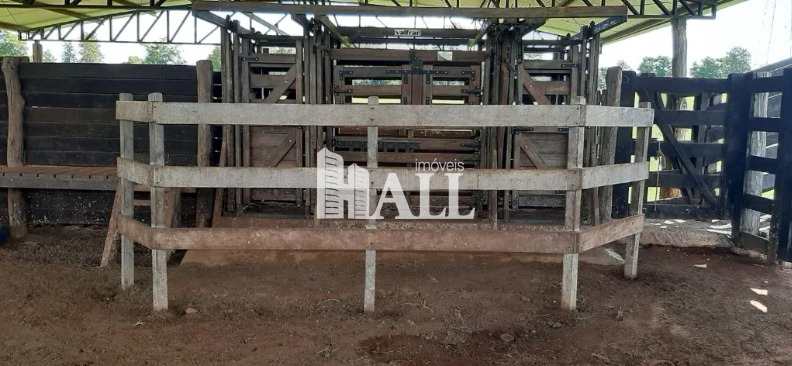 Sítio, 3 quartos, 9 hectares - Foto 5