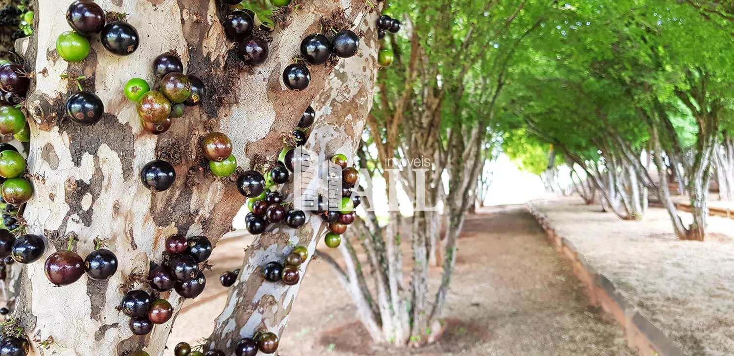 Terreno, 838 m² - Foto 2