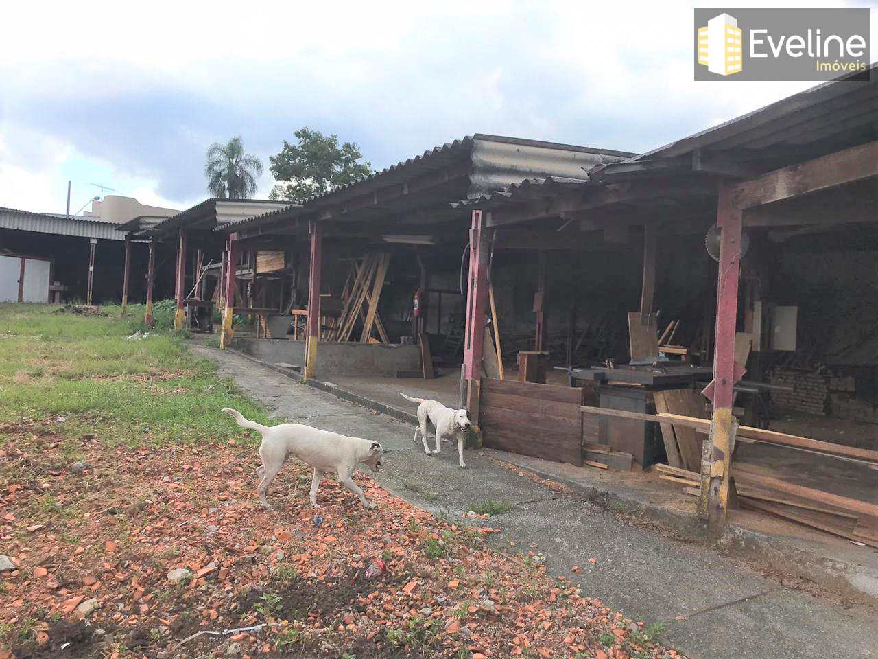 Loja-Salão à venda e aluguel com 1 quarto, 2400m² - Foto 22