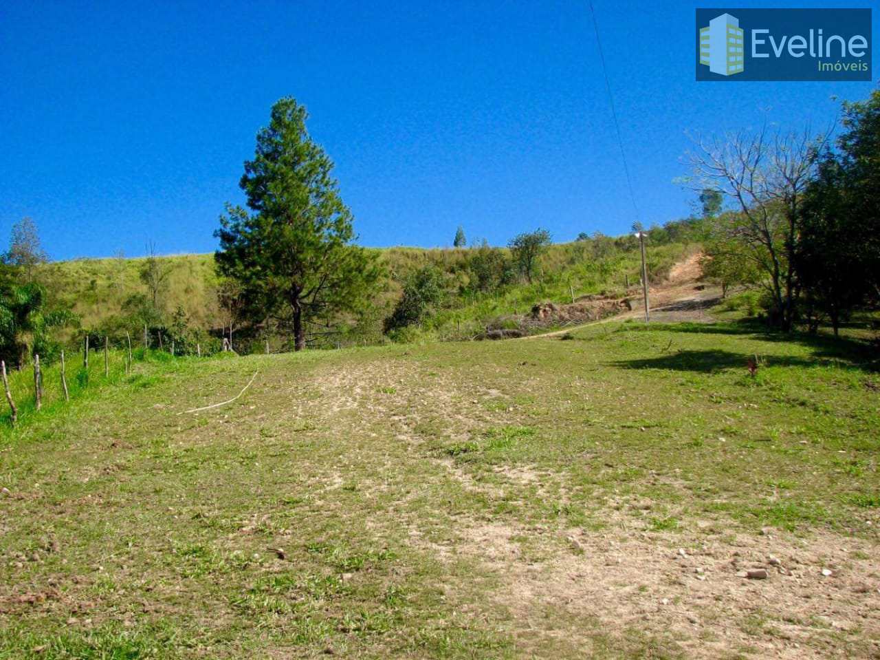 Fazenda à venda com 8 quartos, 1700m² - Foto 31