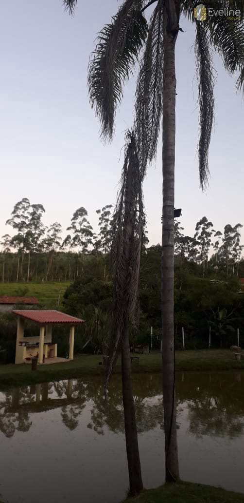 Fazenda à venda com 3 quartos, 6227m² - Foto 22