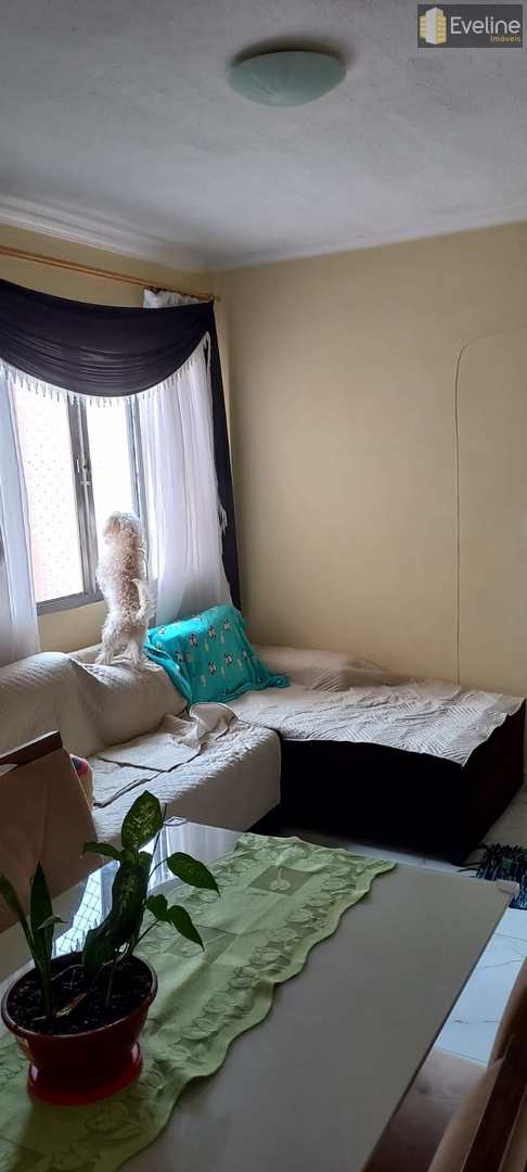 Apartamento à venda com 2 quartos, 50m² - Foto 3