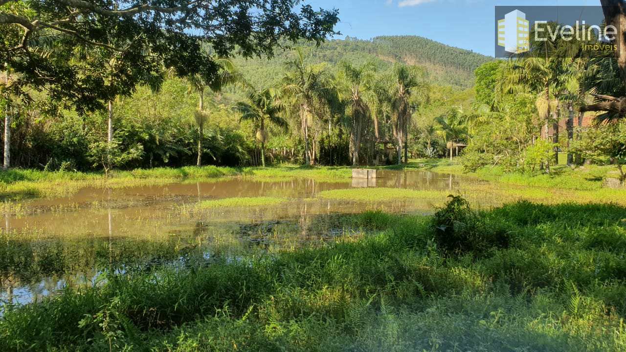 Fazenda à venda com 4 quartos, 20000m² - Foto 14