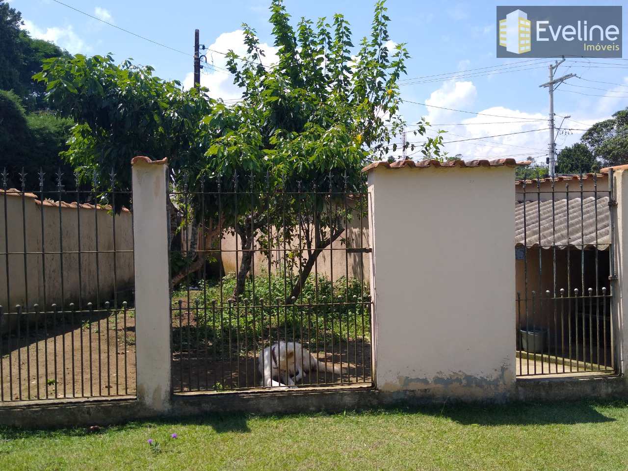 Fazenda à venda com 4 quartos, 1078m² - Foto 25