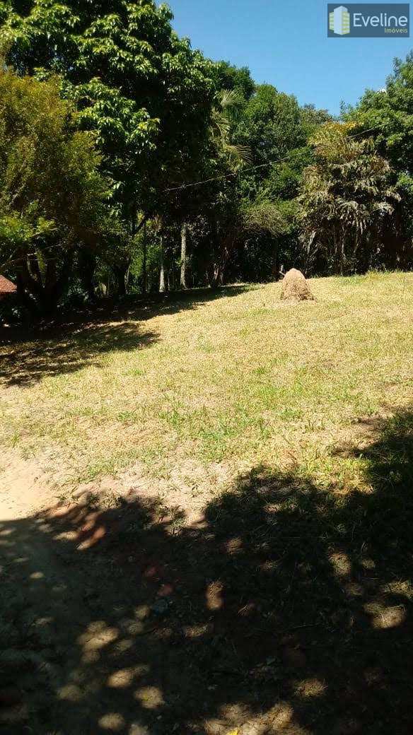 Fazenda à venda com 4 quartos, 1000m² - Foto 7