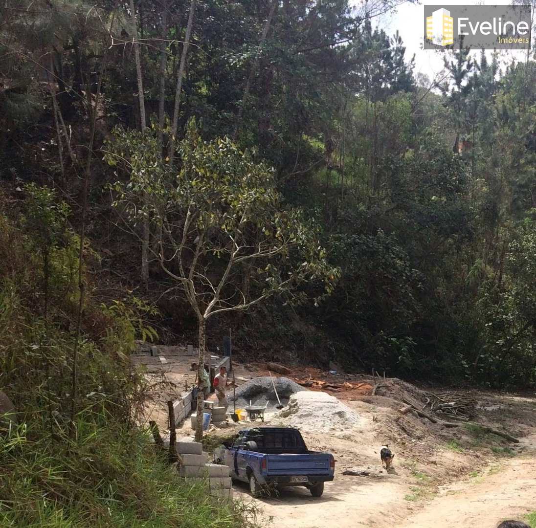 Fazenda à venda com 4 quartos, 1000m² - Foto 11