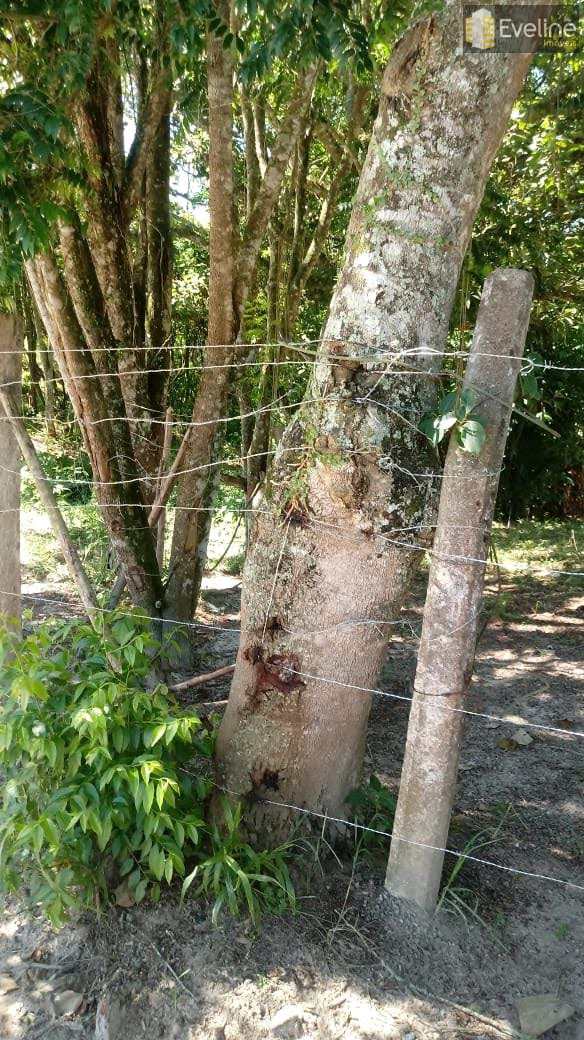 Fazenda à venda com 4 quartos, 1000m² - Foto 4